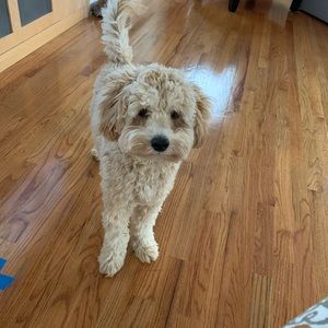 Meet your Posher, Karen